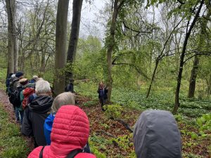 Frühblüher-Exkursion in die Asse